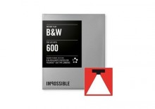 Impossible 600 B&W Silver Frame Polaroid