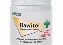 FLAWITOL dla szczenit ras duych Preparat witaminowo-mineralny z flawonoidami z winogron 400g