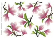 Papier ryżowy ITD A4 - 114 magnolie