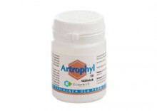 Artrophyl 30tabl. - ukad ruchu