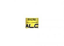 SCITEC ALC 60 kaps./250mg
