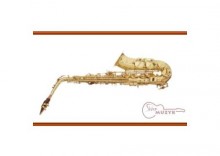 Saksofon altowy 77- SA Stagg