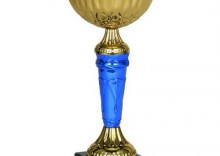 Puchar nagroda na turniej koszykarskie