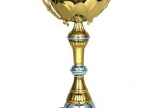 Puchar nagroda sportowa na turniej