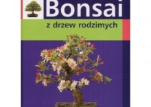 Bonsai z drzew rodzimych [opr. twarda]