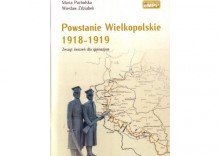Powstanie Wielkopolskie 1918-1919. Zeszyt wicze dla gimnazjum