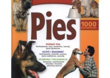 Encyklopedia Pies - Praca zbiorowa [opr. twarda]