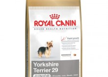 Royal Canin Yorkshire Terrier 29 Junior 1.5kg