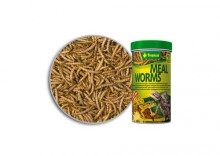 Tropical Meal Worms dla gadw 250ml(30g)