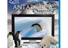 HDScape Antarctica Dreaming Blu-ray