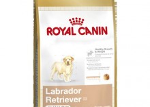 Royal Canin Labrador Retriever 33 Junior 12kg