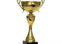 Puchar nagroda na turniej streetball