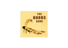 The Budos Band Ii [Vinyl 1lp]