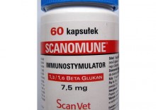 Scanomune 60 kapsułek - preparat zwiększający odporność