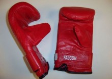 Rkawice przyrzdowe bokserskie GREEN HILL Falcon